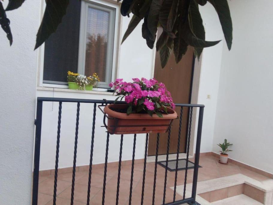 Ferienwohnung Casa Di Cristina Fiumicino Exterior foto